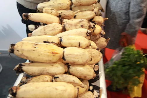 冬節大如年，團圓時節品珍饈——江蘇農民合作社農產品年度盛會收官在即