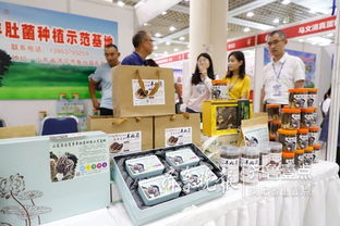 魚臺79家企業亮相省城，生態農產品與保潔服務雙星閃耀